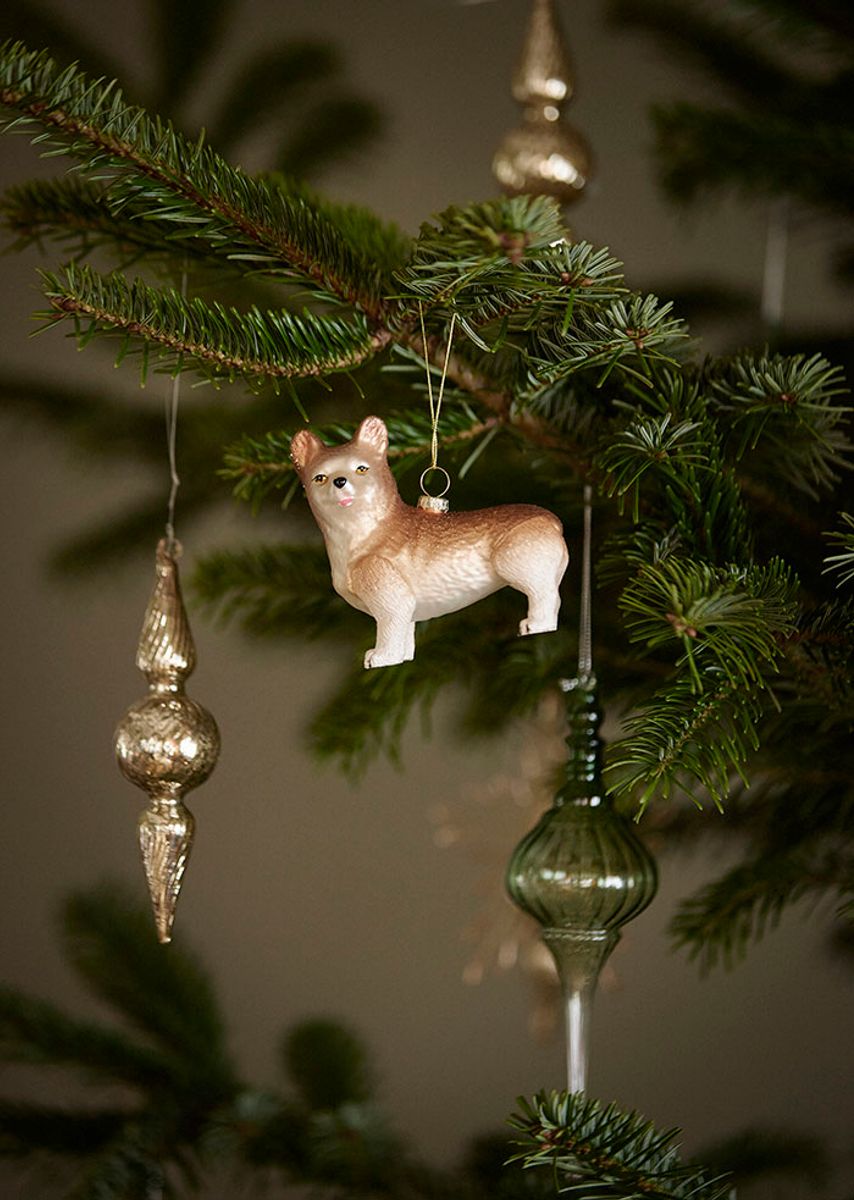 Julekule Corgi - Pecan