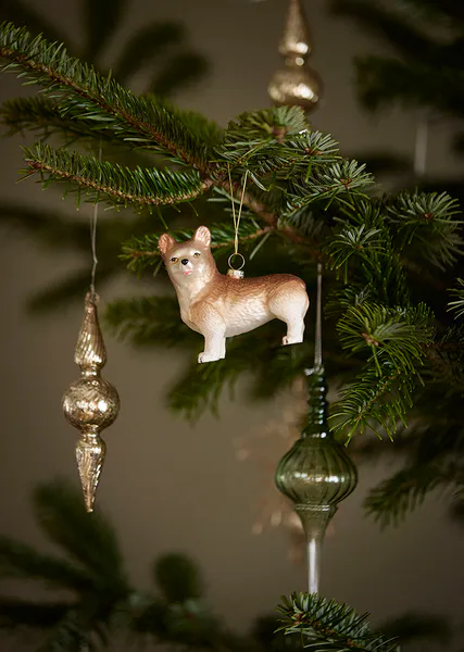 Hovedbilde Julekule Corgi - Pecan