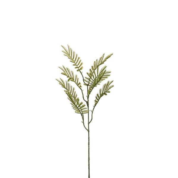 Hovedbilde Mimosakvist 65 cm