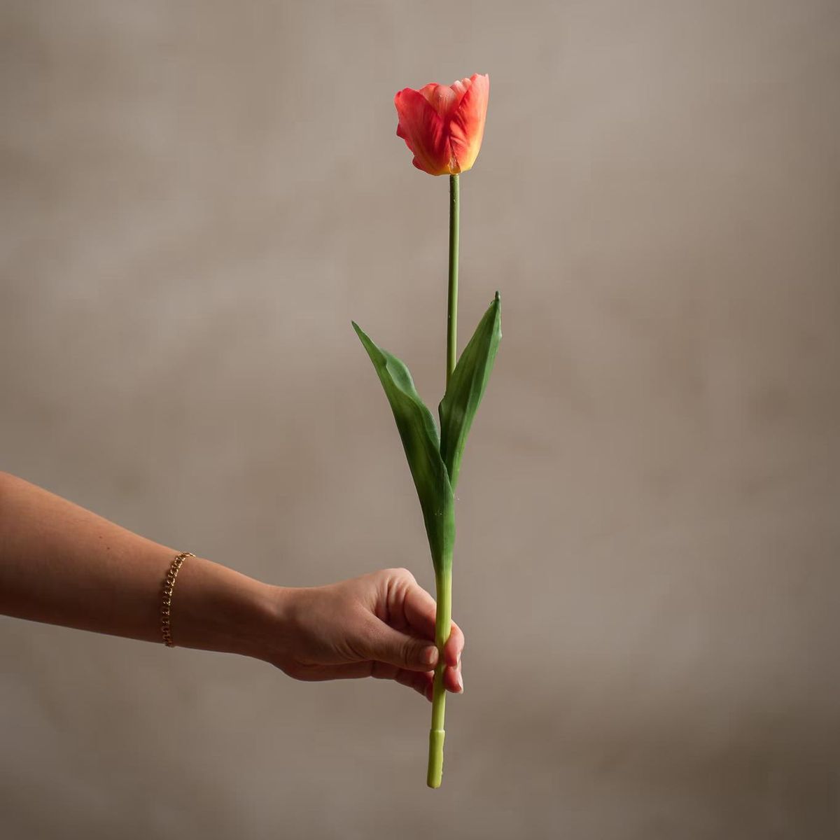 Tulipan 45 cm, Korall