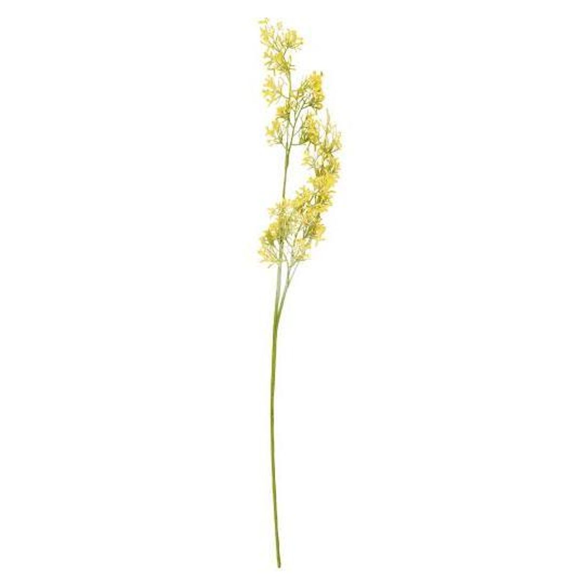 Blomst gule blomster